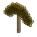 Miner's Tree.png