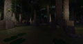 Shae Twilight Swamp.png