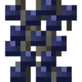 Thumbnail for version as of 05:38, 16 December 2023